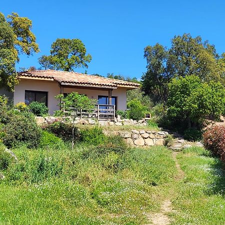 Villas Lantana بورتو فيكشْيو المظهر الخارجي الصورة